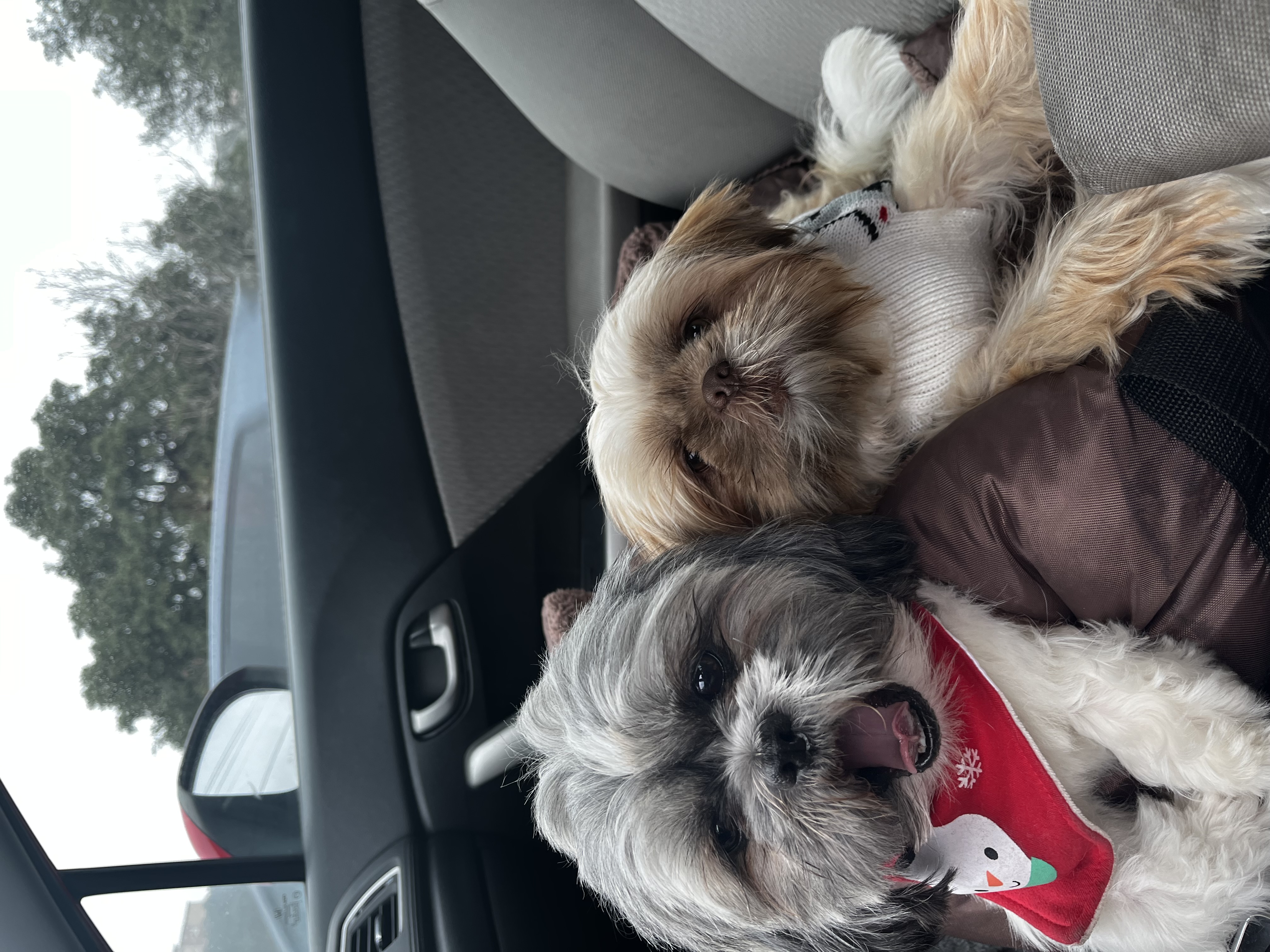 Leo and Santi — the real CEOs